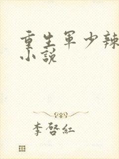 重生军少辣娇妻小说