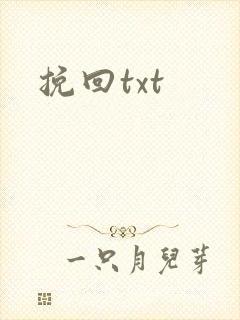 挽回txt