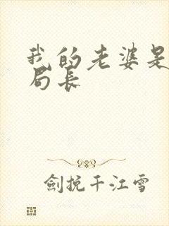 我的老婆是警察局长