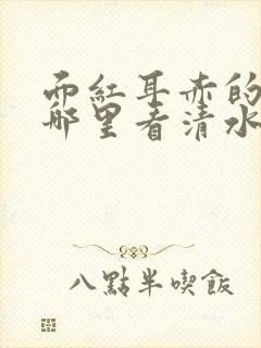 面红耳赤的小说哪里看清水村花