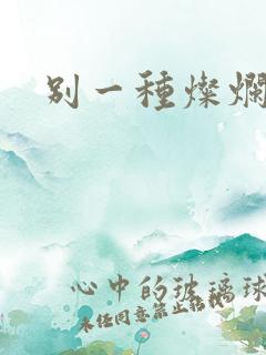 别一种灿烂生活