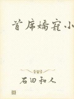 首席娇宠小情人