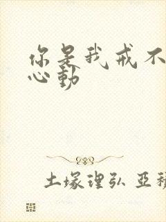 你是我戒不掉的心动