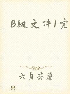 B级文件1完整