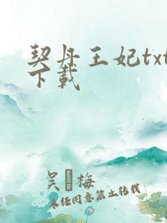 契丹王妃txt下载