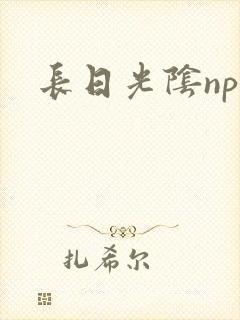长日光阴np