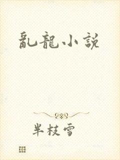 乱龙小说