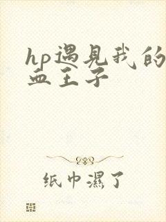 hp遇见我的混血王子