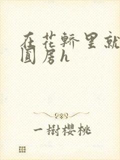 在花轿里就开始圆房h