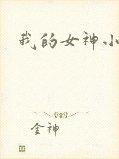 我的女神小说