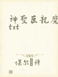神圣巨龙魔法师txt