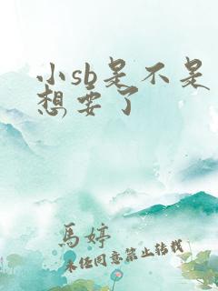 小sb是不是又想要了
