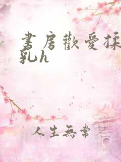 书房欢爱揉捏娇乳h