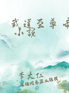 武道至尊 帝临 小说