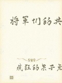 将军们的共妻H