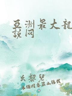 亚洲最大龙腾小说网
