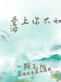 爱上你不如爱上海