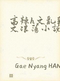 高辣h文乱乳h文浪荡小说