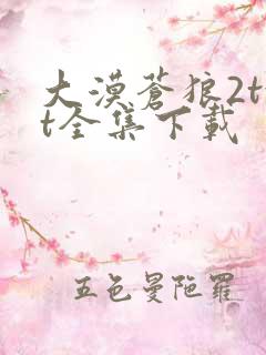 大漠苍狼2txt全集下载