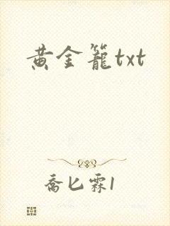 黄金笼txt