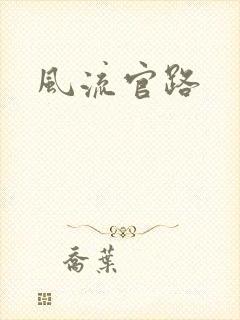 风流官路