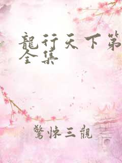 龙行天下第3部全集