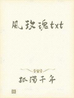 风玫瑰txt