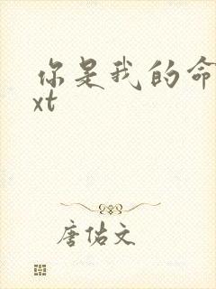 你是我的命运txt