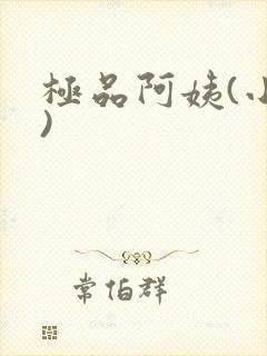 极品阿姨(小说)