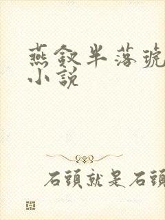 燕钗半落琥珀糖小说