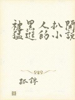 被黑人扒开双腿猛进的小说