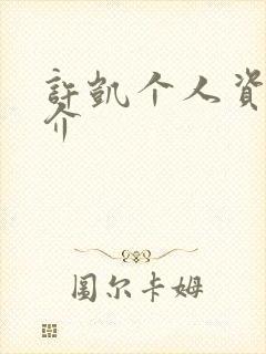 许凯个人资料简介