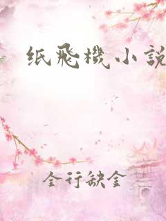 纸飞机小说