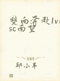 双向奔赴1v1sc南望