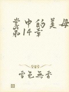 掌中的美母版主第14章