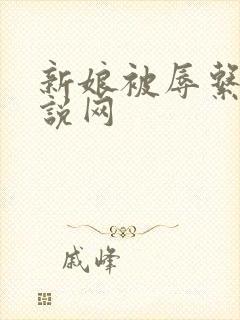 新娘被辱系列小说网