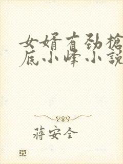 女婿有劲枪枪到底小峰小说