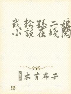 武松孙二娘云雨小说在线阅读