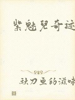 紫魅儿奇迹