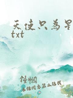 天使只为星夜哭txt