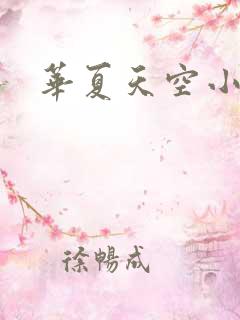 华夏天空小说网