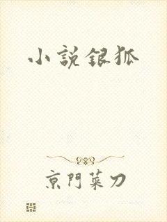 小说银狐