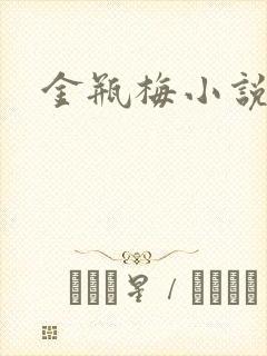 金瓶梅小说下载