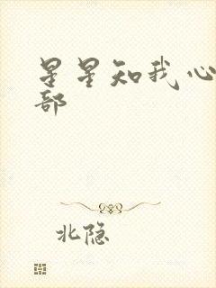 星星知我心第二部