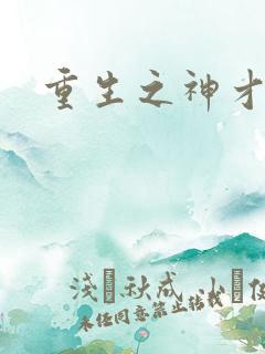 重生之神才风流