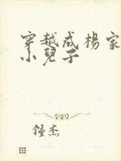 穿越成杨家将最小儿子