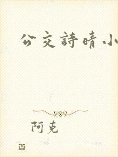 公交诗晴小说