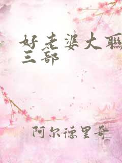 好老婆大联盟第三部