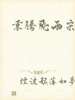 袁腾飞两宋风云