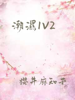 潮湿1V2